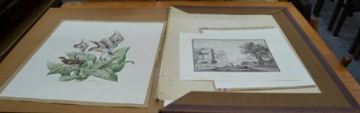 Lot 1017 - A Green watercolour two birds, a piece of original artwork for Spode, in a portfolio and a pair...