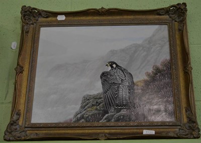 Lot 1131 - Geoff Rollinson, acrylic on board of a Peregrine Falcon, framed