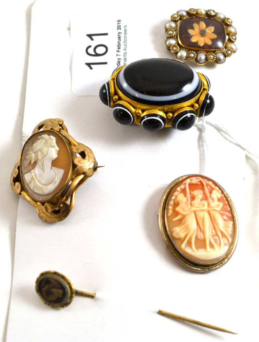 Lot 161 - A pearl set mourning brooch, a sardonyx brooch, two cameo brooches and a stick pin