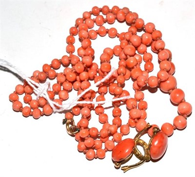 Lot 342 - A pair of coral earrings and a coral necklace