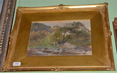 Lot 475 - Watercolour, G Dodgson RWS, Forrest scene