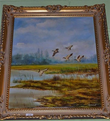 Lot 476 - Istvan Reinhardt (Hungary 1936-) Ducks in flight, oil on canvas, 61.5cm by 51cm