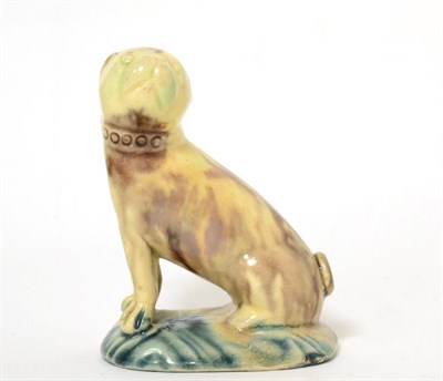 Lot 202 - A Whieldon Creamware Figure of a Pug, circa 1760, naturalistically modelled seated on a mound...