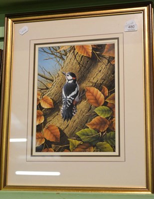 Lot 480 - Ralph Waterhouse, A spotted woodpecker, signed gouache