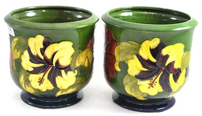 Lot 199 - Two Walter Moorcroft Hibiscus pattern planters, on green grounds, impressed factory marks,...