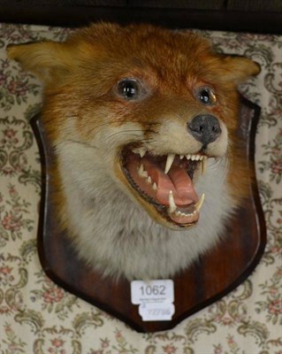 Lot 1062 - A taxidermy fox head mount