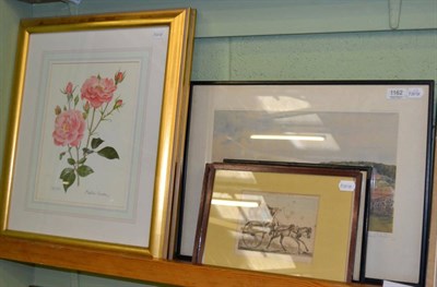 Lot 1162 - A pair of Halcyon days framed limited edition prints of roses after Alastair Gordon, three...