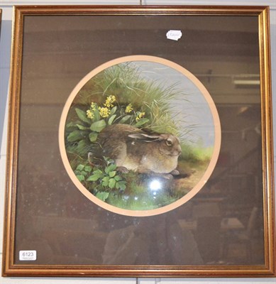 Lot 1146A - * Caroline Manning, Sitting Hare, gouache, signed, 34cm diameter