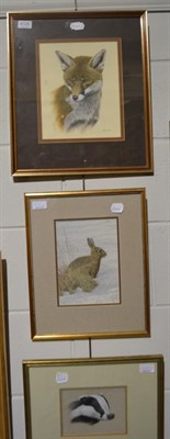 Lot 1148A - * Simon Turvey (b. 1957), Rabbit, signed, watercolour, 22cm by 16cm, together with a Fox, 26cm...