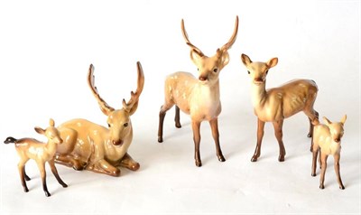 Lot 44 - Beswick Stag (Standing), model No. 981, Stag (Lying), model No. 954, Doe, model No. 999A and...