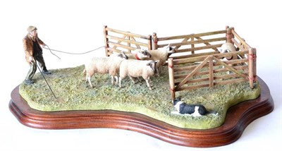 Lot 52 - Border Fine Arts 'Anxious Moment' (Penning Sheep), model No. B0584 by Ray Ayres, limited...