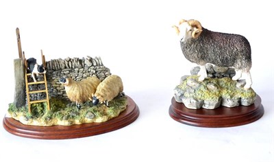 Lot 64 - Border Fine Arts 'Element of Surprise' (Collie and Sheep), model No. B0089 by Ray Ayres, on...