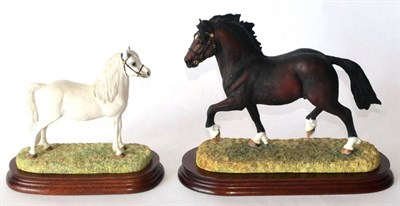 Lot 100 - Border Fine Arts 'Welsh Cob Stallion', model No. B0240B by Anne Wall, limited edition 1050/1250, on