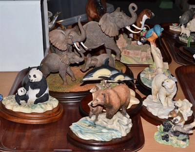 Lot 554 - Country Artists 'Voice of Africa' (elephant model); together with four Border Fine Arts...