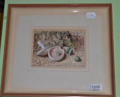 Lot 1298 - A James (19th/20th century) A still life of mushrooms and acorns, signed and dated (18)93,...