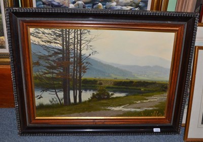 Lot 1324 - A lakeland landscape oil on canvas by R Samimi