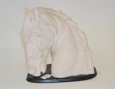 Lot 41 - Carved marble horse head, signed ?andoni