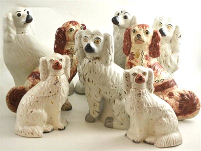 Lot 82 - Four pairs of Staffordshire spaniels (on two trays)