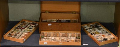 Lot 169 - A 19th century hinged collectors comprehensive specimen box enclosing, four lift-out trays of...