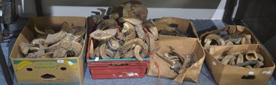 Lot 611 - A large quantity of assorted animal horns