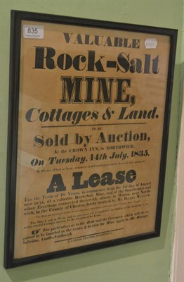 Lot 835 - Framed 19th century poster advertising ";Valuable Rock Salt Mine, Cottages and Land"