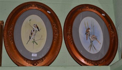 Lot 460 - Pair of watercolours and gouache studies of goldfinch and bearded tits, by Rex Flood