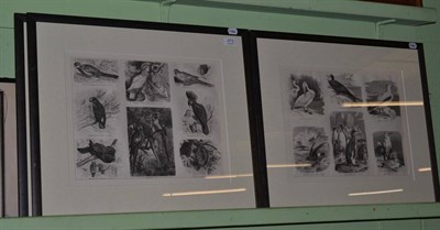 Lot 473 - Six framed composite steel engravings, ornithological subjects