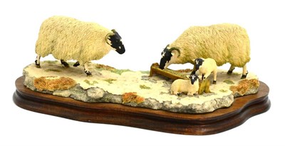 Lot 5015 - Border Fine Arts 'Early Lambs, Late Snow' (Sheep and Lambs), model No. 113 by Ray Ayres, on...