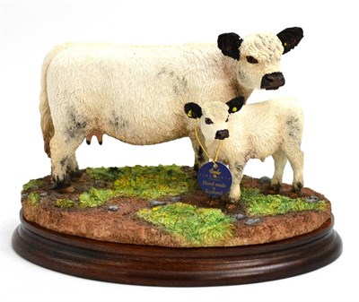 Lot 5032 - Border Fine Arts 'Galloway Cow and Calf', white, model No. B1260A by Ray Ayres, signed to base,...