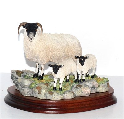 Lot 5069 - Border Fine Arts 'Blackie Ewe and Lambs', model No. B0887 by Ray Ayres, signed to base, limited...