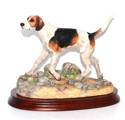 Lot 5071 - Border Fine Arts 'Foxhound', Standing (Style Two), model No. B0733 by Margaret Turner, limited...