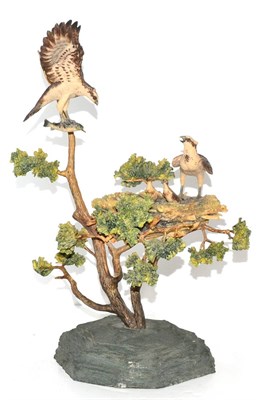 Lot 5073 - Border Fine Arts 'Ospreys', model No. L38 by Ray Ayres, limited edition 199/350, on wood base, with