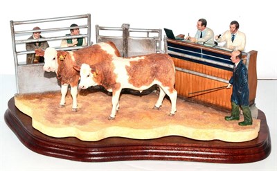 Lot 5075 - Border Fine Arts 'Under The Hammer, Simmental Cross', model No. B0666D by Kirsty Armstrong, limited