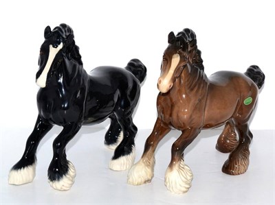 Lot 5080 - Beswick Cantering Shire, model No. 975, black gloss, Beswick Collectors Club Special in a...