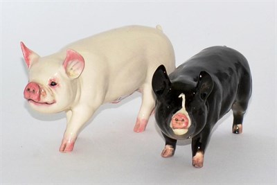 Lot 5086 - Beswick Pigs comprising: Middlewhite Boar, model No. 4117, white gloss and Berkshire Boar,...