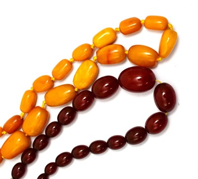 Lot 5578 - Two strands of amber type beads