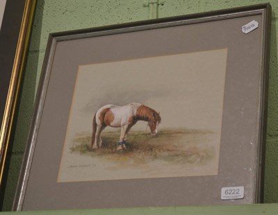 Lot 6222 - Leesa Sandys-Lumsdaine, ";Tinker Pony";, signed and dated (19)73, watercolour, 25cm by 30.5cm, with