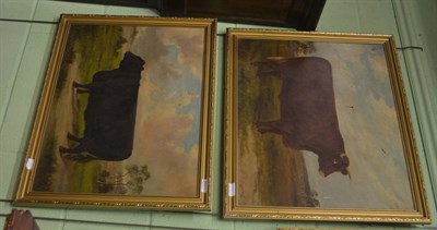 Lot 6251 - E S England, a pair of prize bulls (2)