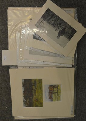 Lot 6254 - A folio of Lucy Kemp-Welch prints (seventeen mounted and others)