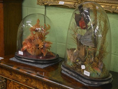 Lot 6383 - A Victorian display of exotic birds under a glass dome and a display of dried flowers under a glass