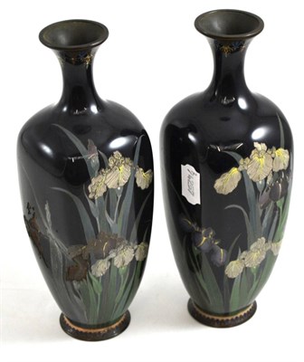 Lot 13 - Pair of Japanese cloisonne enamel vases decorated with flag iris (one damaged), 25cm high
