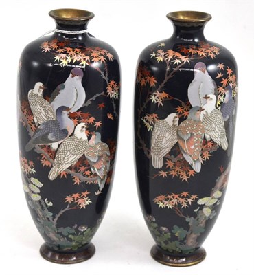 Lot 108 - A pair of Japanese Meiji period cloisonne vases, depicting birds on branches, 26cm high