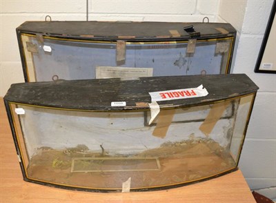 Lot 1058 - Victorian display case together with another of similar date (2)