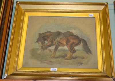 Lot 1225 - Oil on board of a bay horse, signed W Woodhouse, in a gilt frame