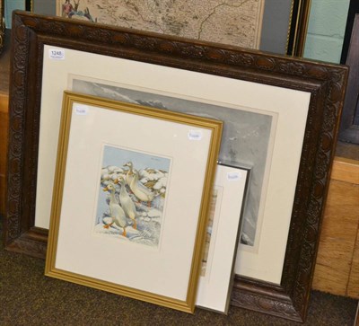 Lot 1248 - David Binns, four Indian runner ducks in the snow, signed watercolour, together with a...