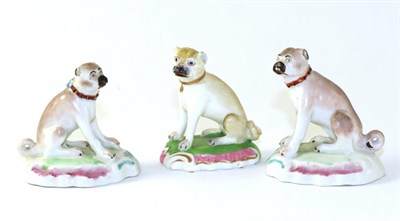 Lot 151 - A Pair of Derby Porcelain Figures of Pugs, circa 1780, sitting on scroll moulded mound bases, 7.5cm
