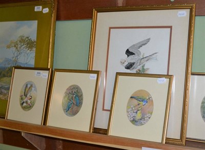 Lot 699 - James Alder (1920-2007) Five watercolours depicting various garden birds (5)