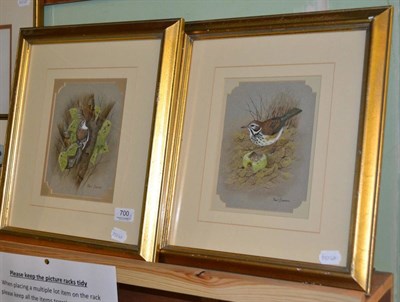 Lot 700 - Paul Dawson (Contemporary) ";Red Wing"; and ";Tree Creeper";, each signed, inscribed verso,...