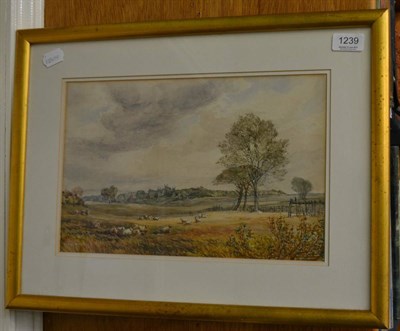 Lot 1239 - F. Bentz (19th/20th Century) Sheep grazing near Old Trafford, Manchester, signed, watercolour