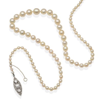 Lot 371 - A Pearl Necklace with a Diamond Set Clasp, a strand of graduated pearls knotted to a lozenge shaped